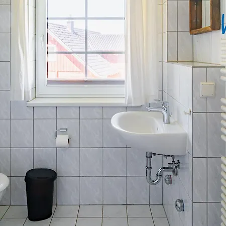 Am Gutspark Drankse Sonnenrose