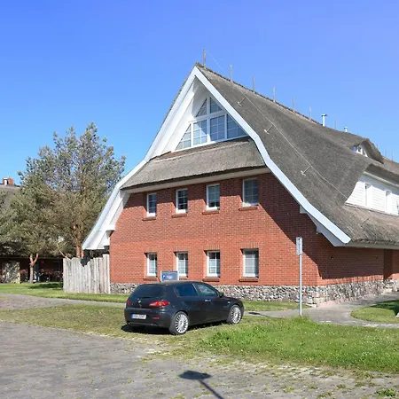 Am Gutspark Drankse Sonnenrose