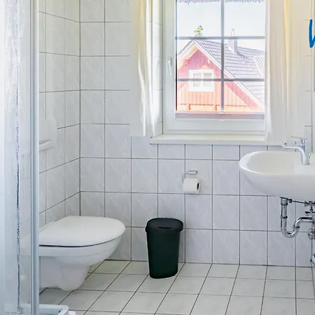 Am Gutspark Drankse Sonnenrose Dranske