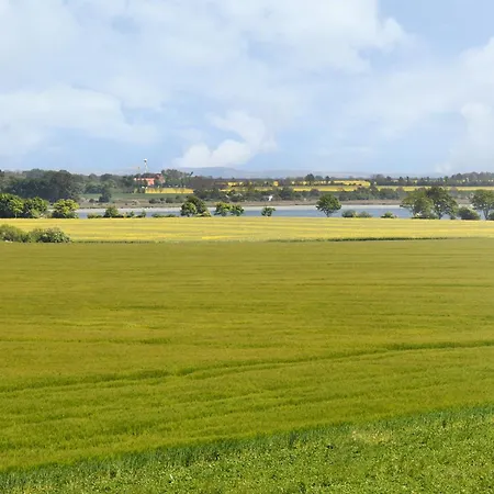 Am Gutspark Drankse Sonnenrose