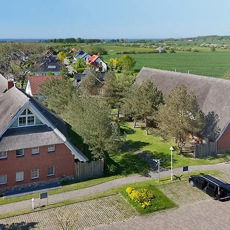 Am Gutspark Drankse Sonnenrose *