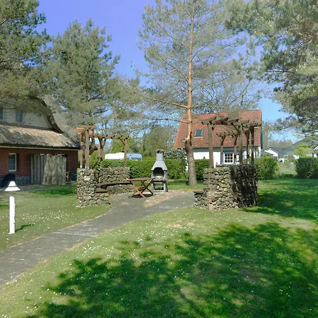 Am Gutspark Drankse Sonnenrose