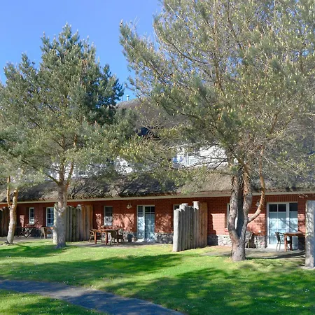 Am Gutspark Drankse Sonnenrose