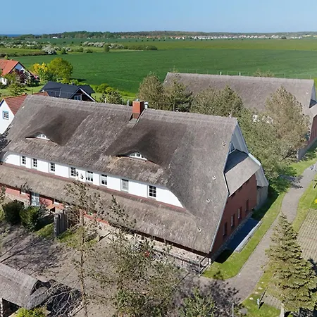 Am Gutspark Drankse Sonnenrose