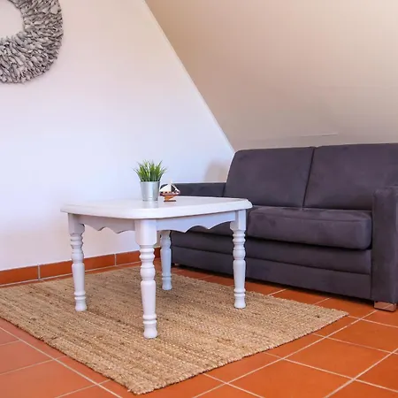 Am Gutspark Drankse Sonnenrose *