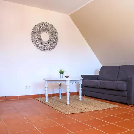 Am Gutspark Drankse Sonnenrose