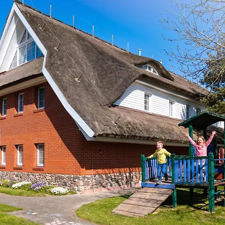 Am Gutspark Drankse Sonnenrose