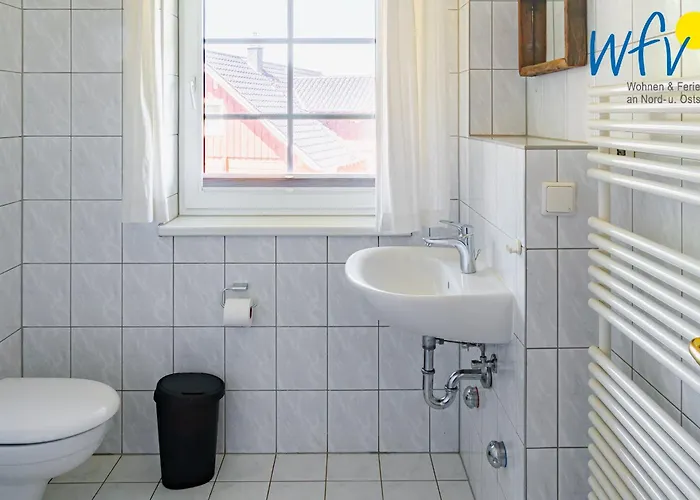 Am Gutspark Drankse Sonnenrose