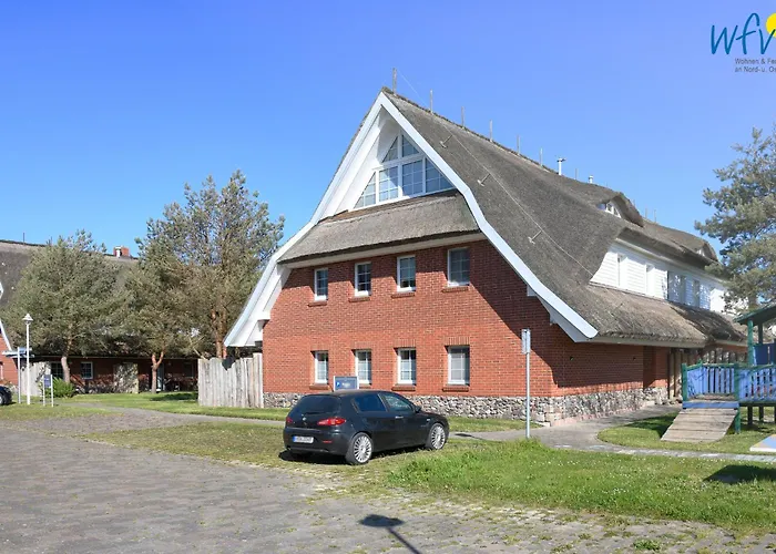 Am Gutspark Drankse Sonnenrose