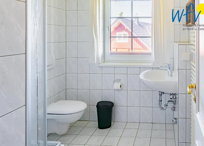 Am Gutspark Drankse Sonnenrose Dranske