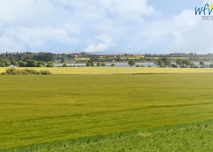 Am Gutspark Drankse Sonnenrose