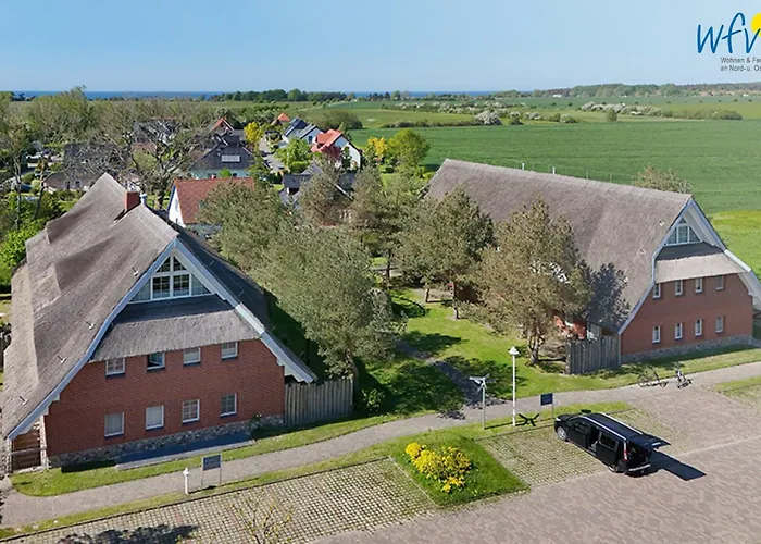 Am Gutspark Drankse Sonnenrose *