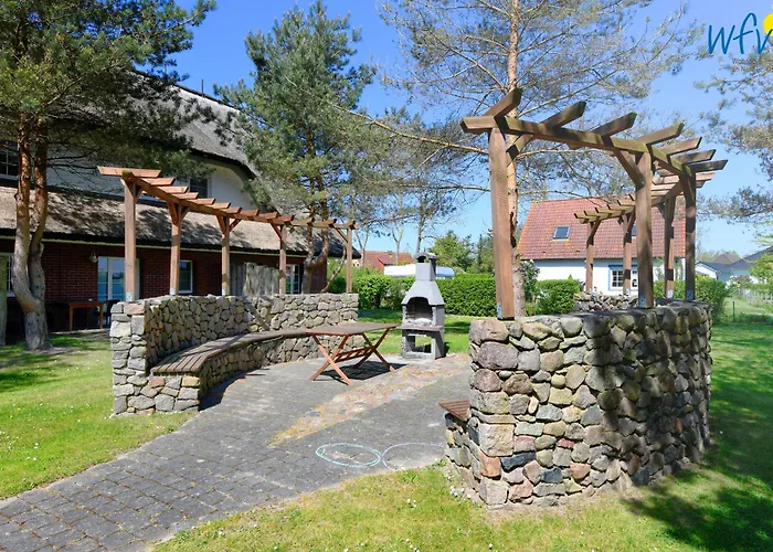 Am Gutspark Drankse Sonnenrose *