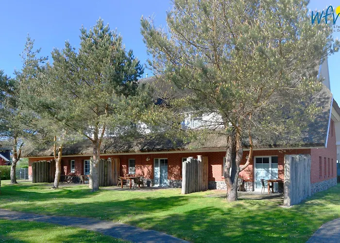 Am Gutspark Drankse Sonnenrose