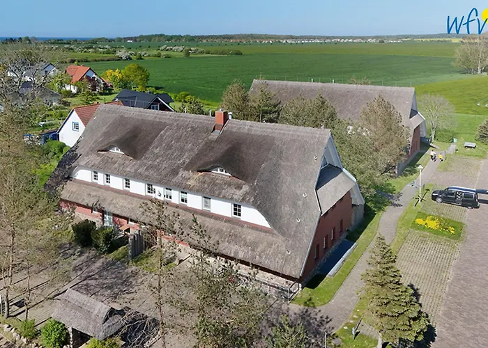 Am Gutspark Drankse Sonnenrose